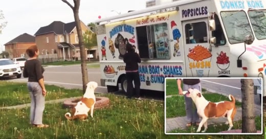 Cover El perrito que nos derritió al esperar su helado ¡Dosis de ternura!