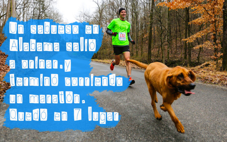 perro corriendo una carrera