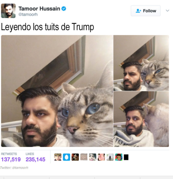 hombre al lado de gato que hace caras raras