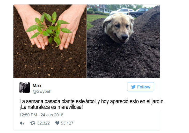 tuit sobre una mujer que planta una planta y crece un perro