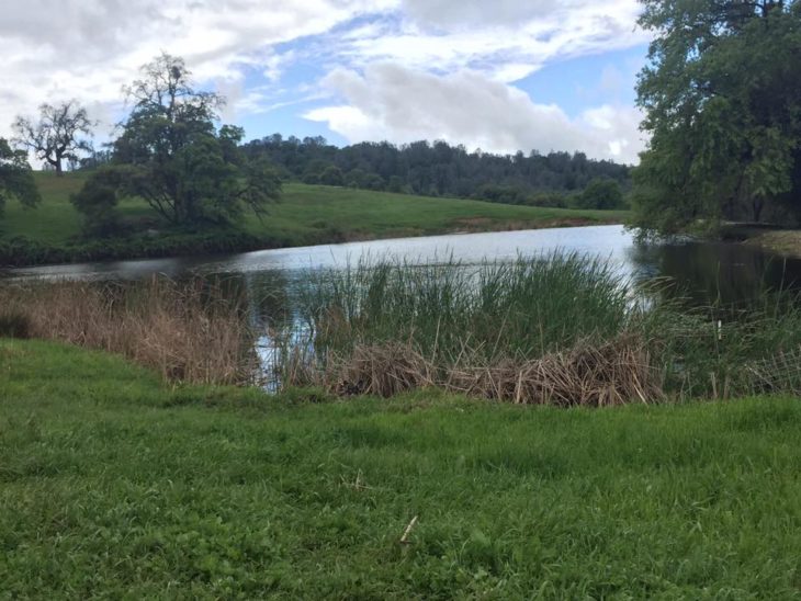 paisaje de lago y campos verdes