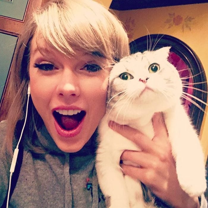 taylor swift y un gato