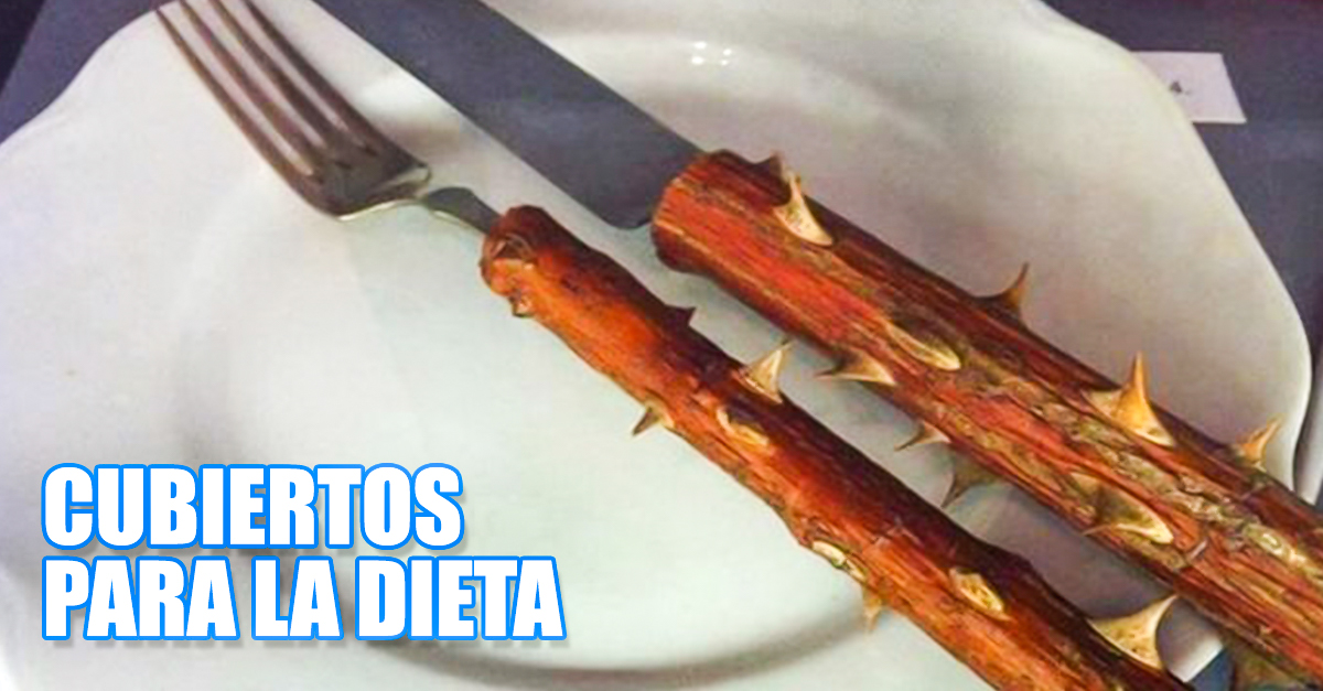 Que es bueno desayunar cuando estas a dieta memes
