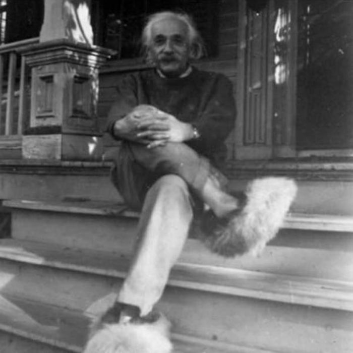 albert einstein pantunflas 