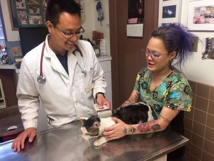 mujer lleva gato al veterinario 