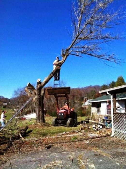 hombre podando árbol subido en escalera sobre máquina 