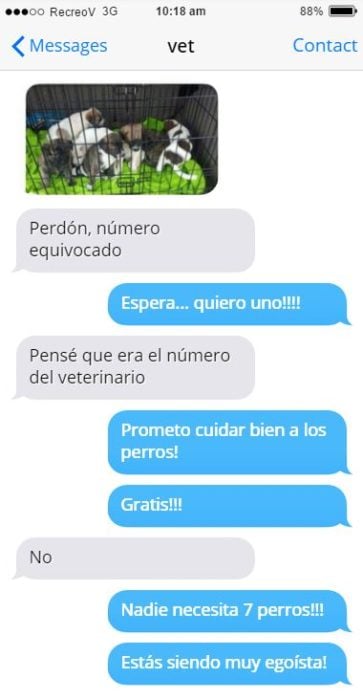 Mensajes equivocados - perritos veterinario