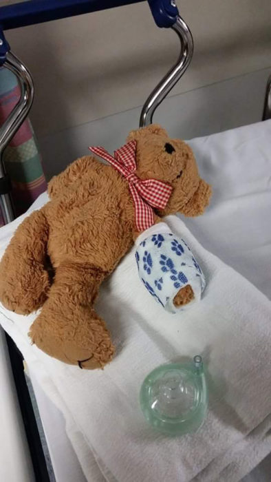 oso de peluche con brazo fracturado 