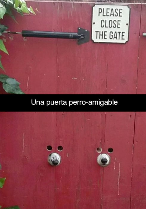 Snapchat perros - puerta perro amigable