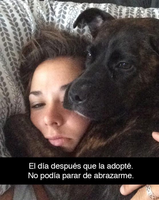 Snapchat perros - perro abrazando a su dueña