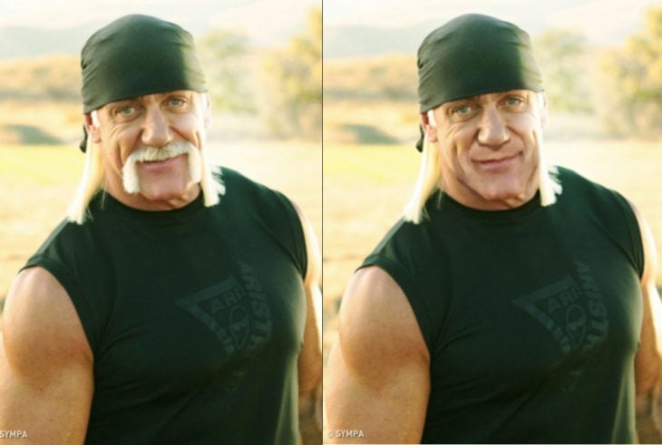 Hulk Hogan