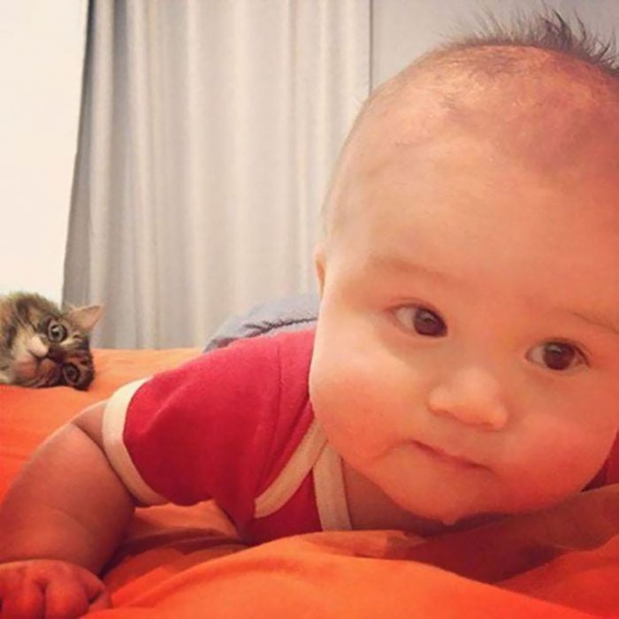 foto de bebé y detrás se ve un gato