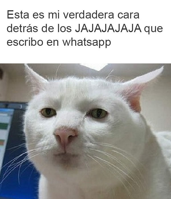 cara de amargado whatsapp jajajaja