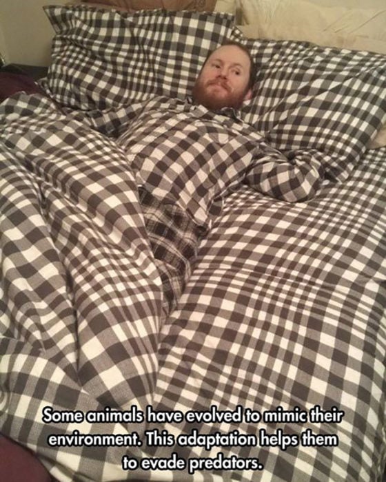 hombre camuflado con su cama