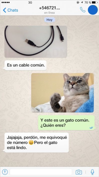 cable gato conversación whats app