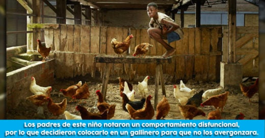 Cover Casos reales de niños criados por animales