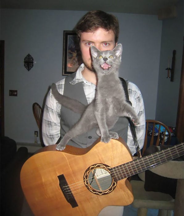 gato sobre una guitarra que está cargando un chico