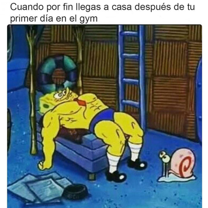 luego del gym meme bob