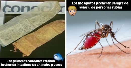 Cover 70 curiosidades que seguramente desconocías