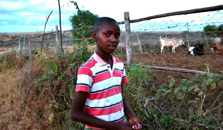 niño leones áfrica cerca 