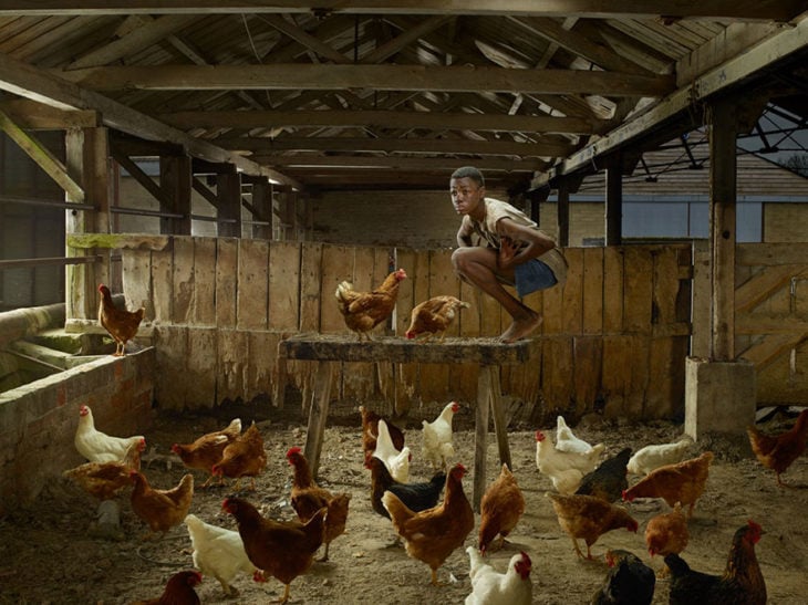 niño criado por gallinas