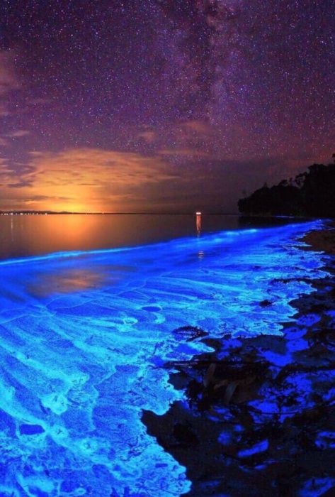 Playa bioluminiscente