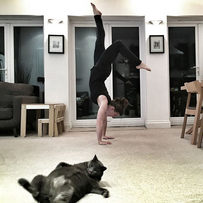 mujer haciendo yoga, frente un gato gordo