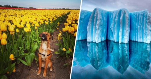 Cover majestuosas fotografías de naturaleza que te quitarán el aliento