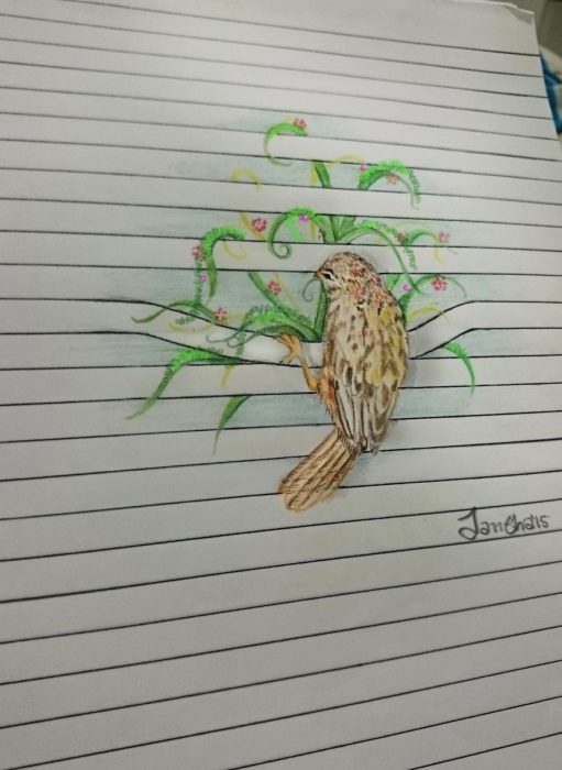 dibujo pájaro en lineas de libreta