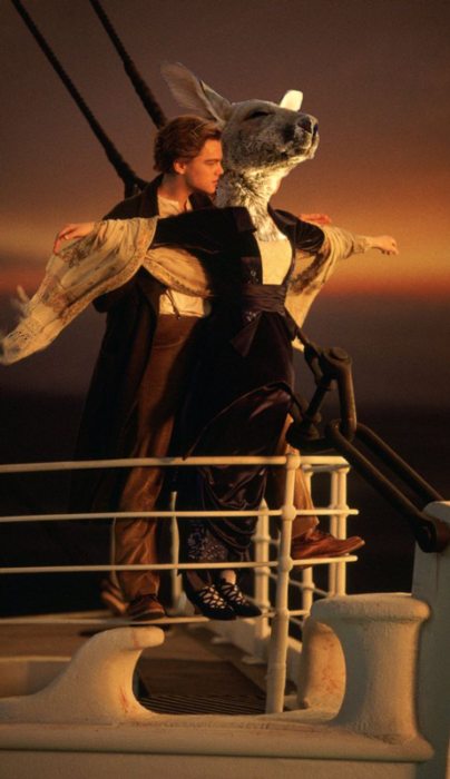 Batalla Photoshop canguro - escena titanic