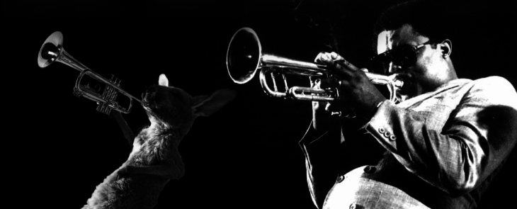 Batalla Photoshop canguro - concierto de jazz