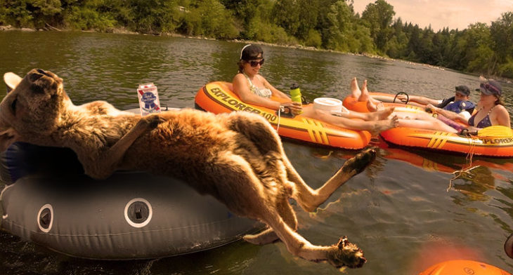 Batalla Photoshop canguro - relajándose en el lago 