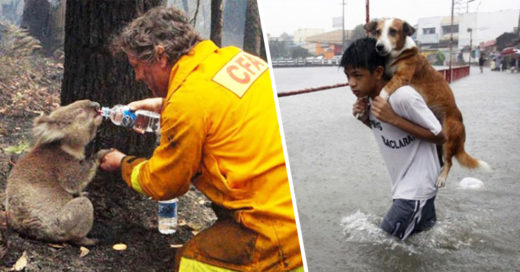 Cover humanos restauran la fe en la humanidad ¡aunque sea un poquito!