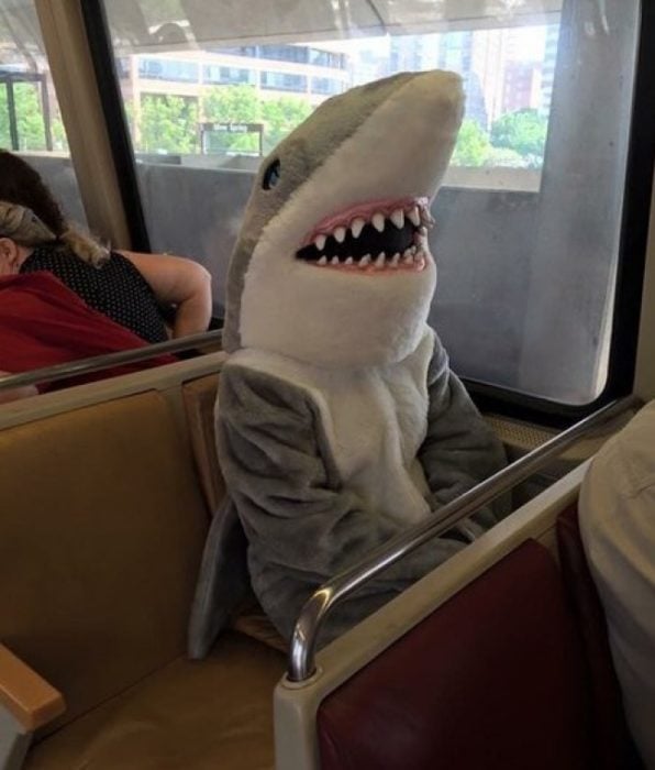 Tiburón en el transporte público 