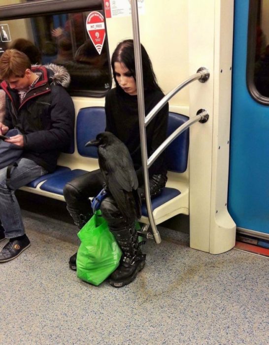 chica con su cuervo negro en el metro 