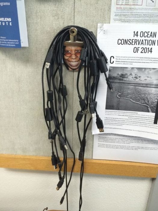 whoopi cables idea rastas