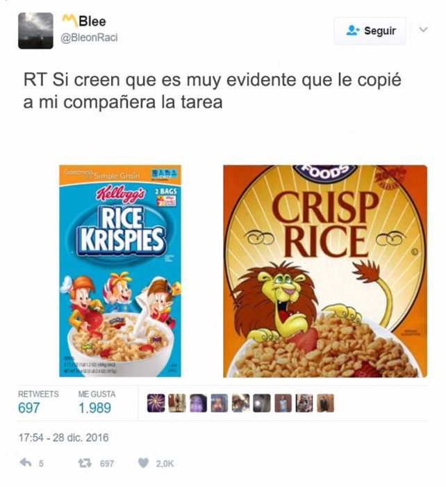 rice crisp tarea copiada