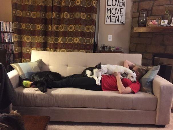 Perro y gato dormidos sobre su dueña que está acostada en el sillón