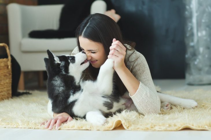 mujer jugando con un cachorro husky