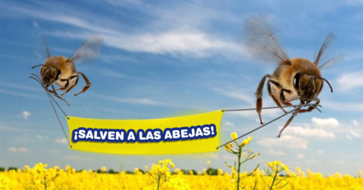 Cover Comprobado: se están extinguiendo las abejas, los humanos moriremos de hambre