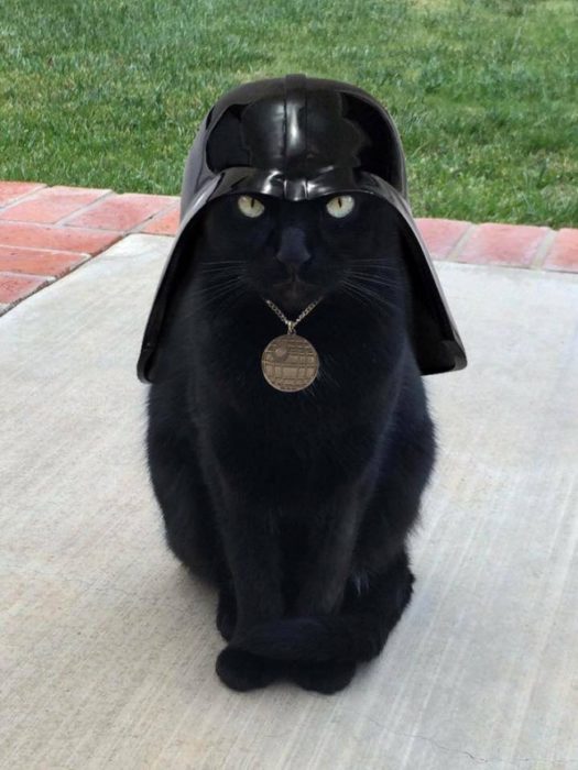 catvader