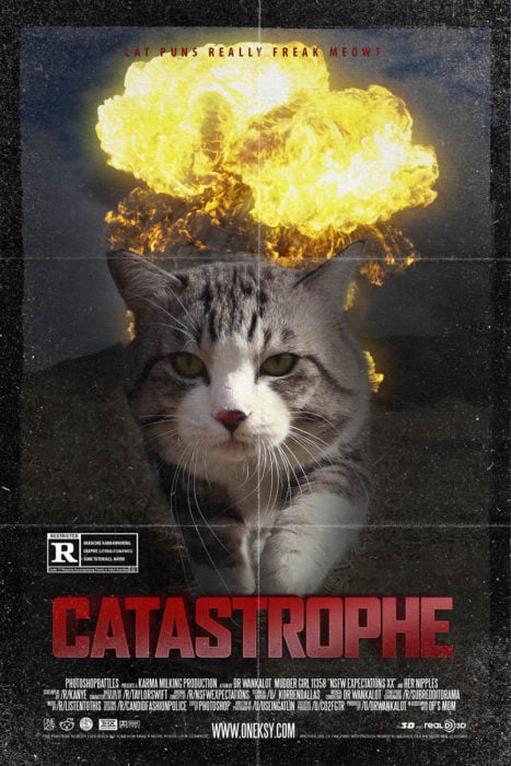 gato editado en la portada de una película llamada catástrofe 