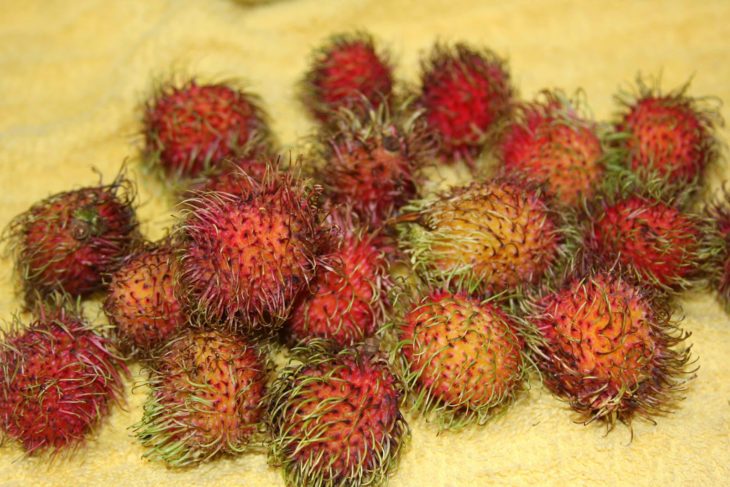 rambutan