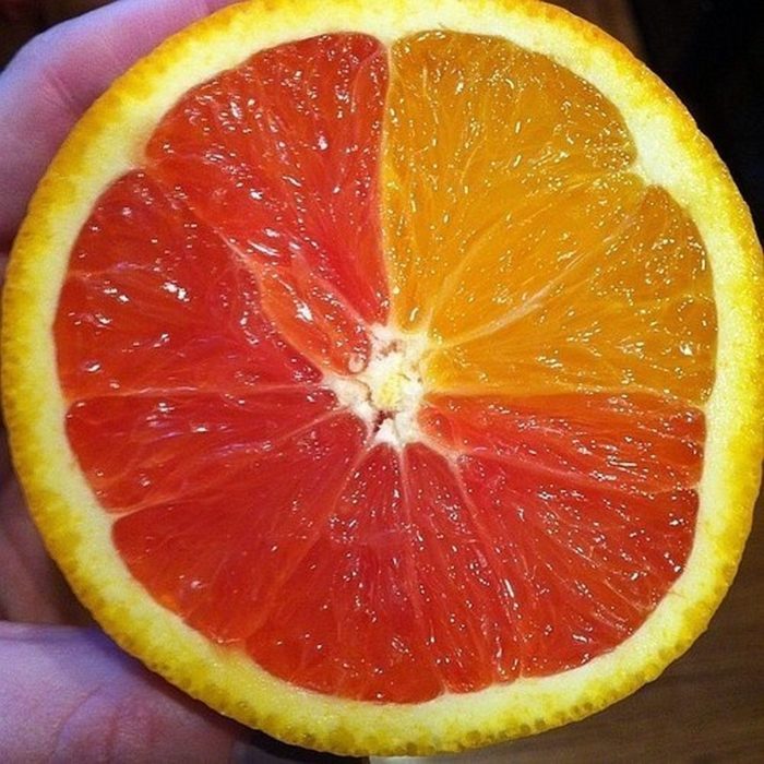 naranja mutante