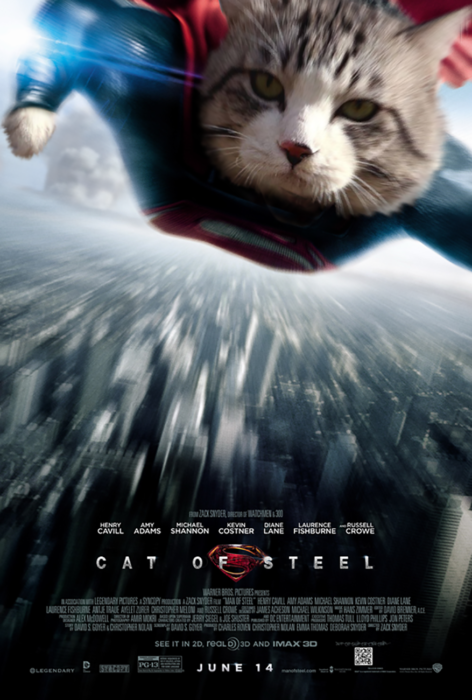 gato editado como superman