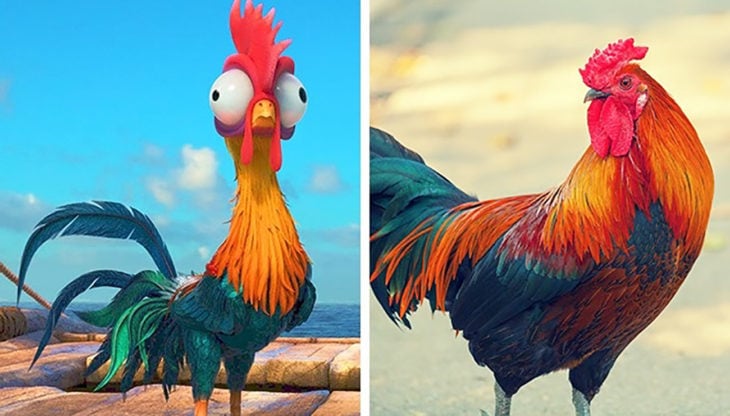 hei hei moana en la vida real