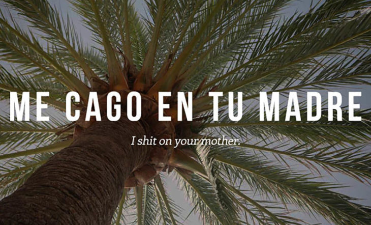 palmera con frase de grosería