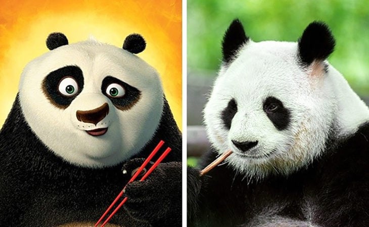 pu de kung fu panda en la vida real