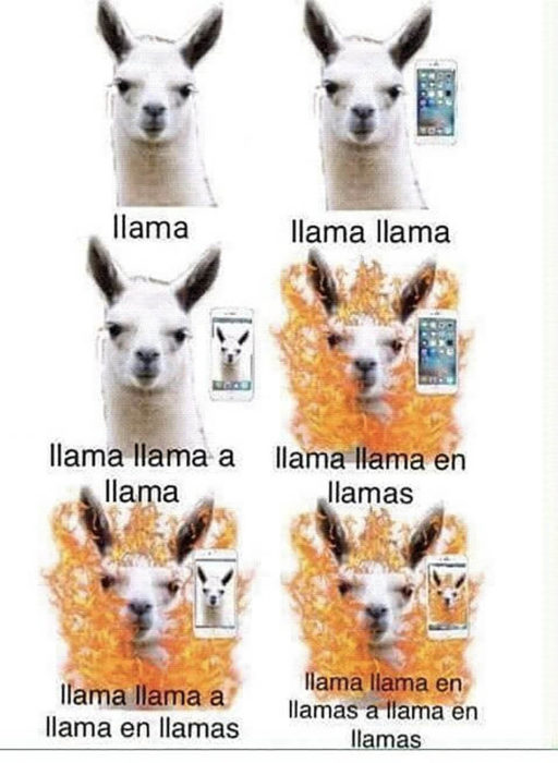 meme llama llama en llama