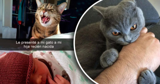 Cover Situaciones que solo los que tienen un GATO MALVADO entenderán